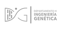 logo-dig-cinvestav